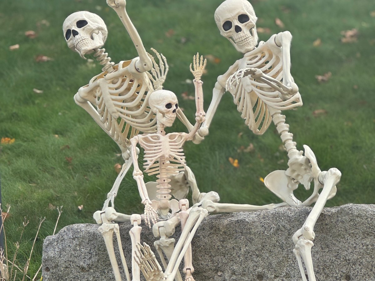 Halloween Fun 👻🎃