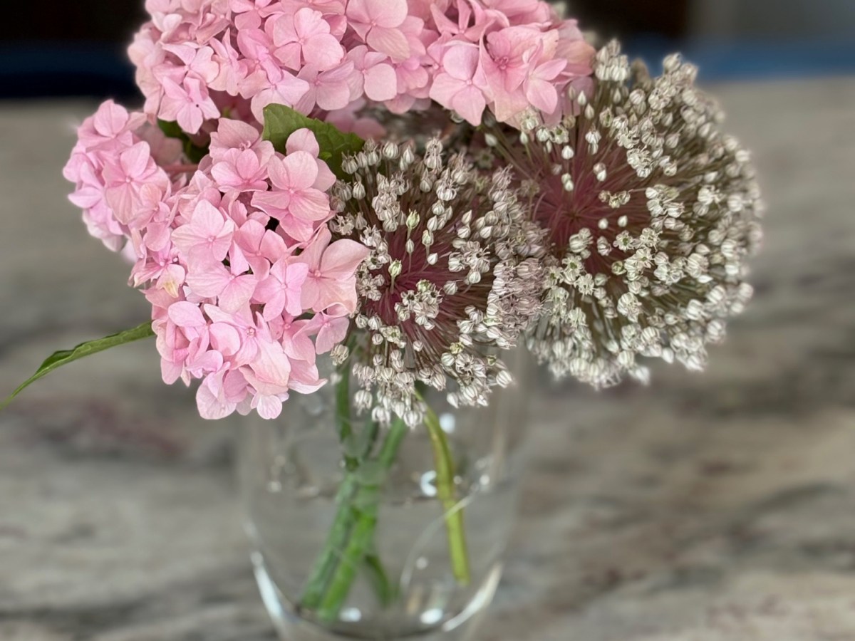 Putting Gratitude into&nbsp;Action