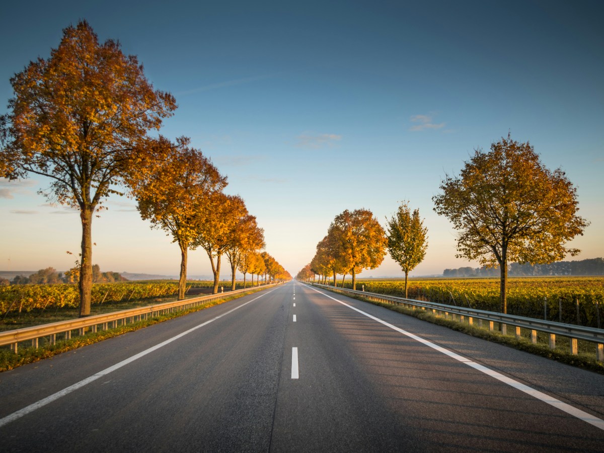 Visiting Old Friends with Andrew&nbsp;McCarthy📚