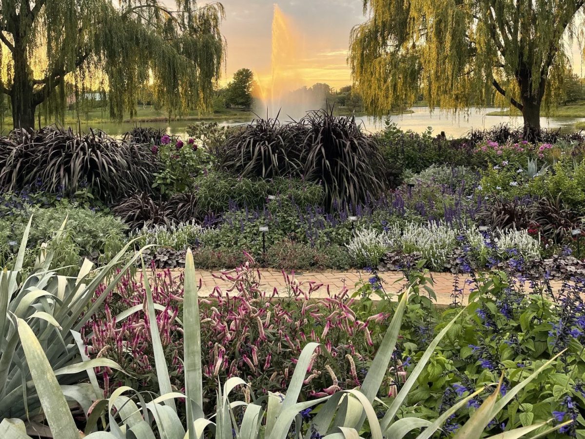 Labor Day Reflections